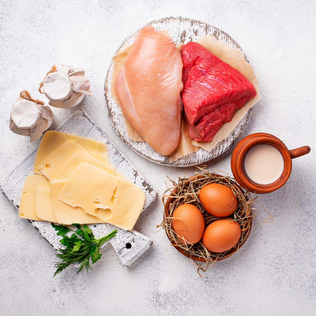 OVOS LEITE QUEIJO carne CANVA