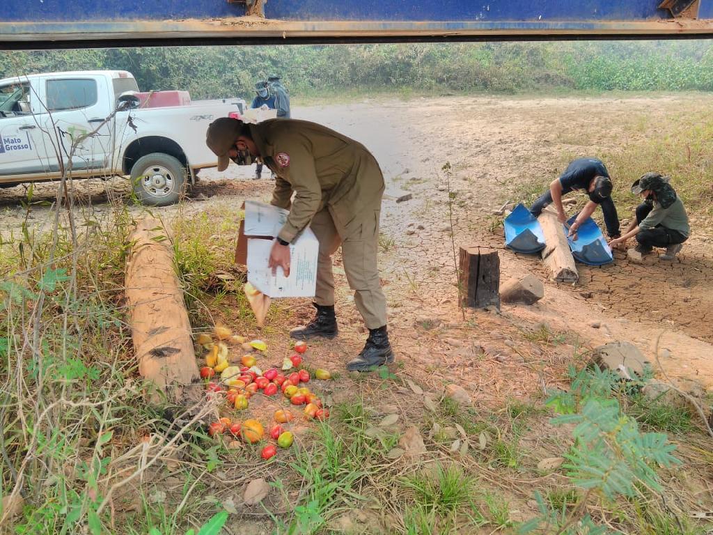 Distribuição alimentos e água PAEAS Pantanal