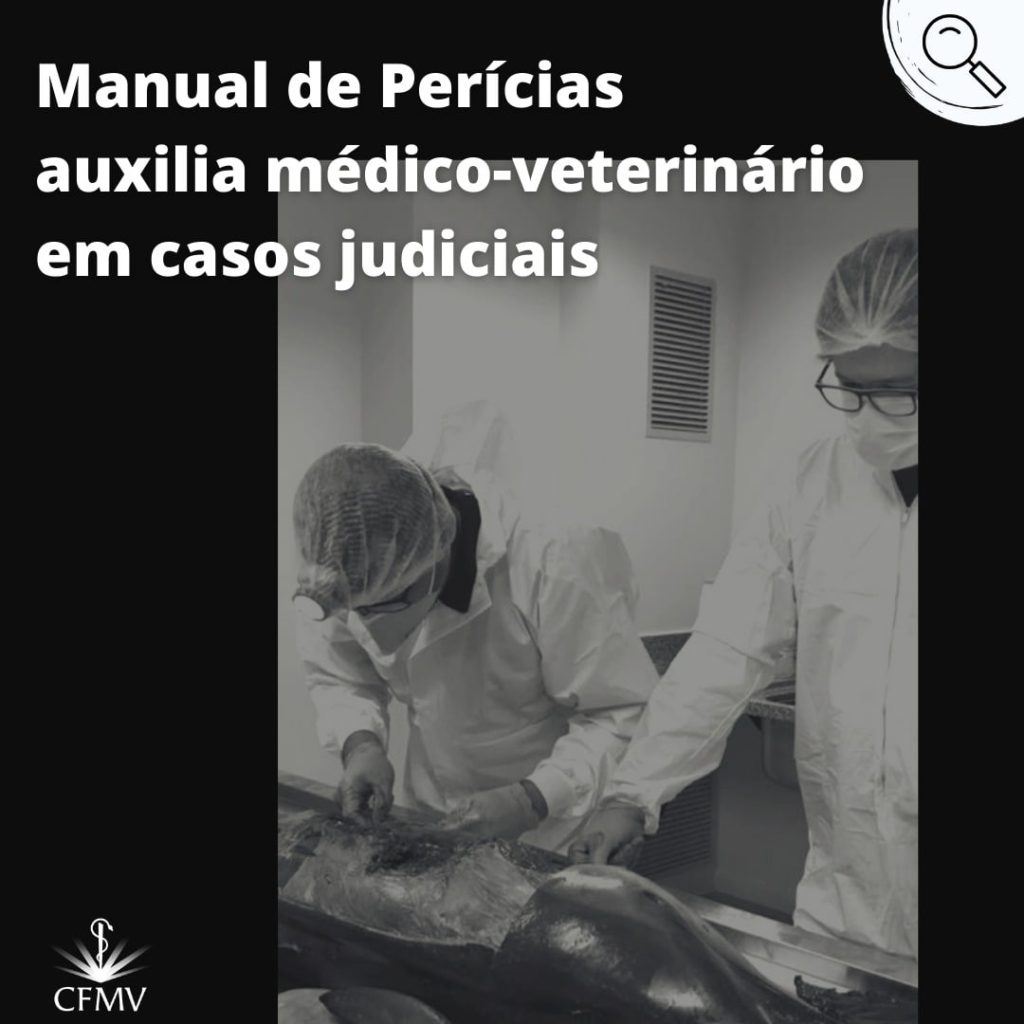 PERICIA