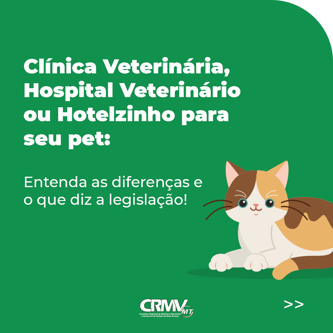 AP_post_CRMVMT_Hotelzinho_1080x1080px_01