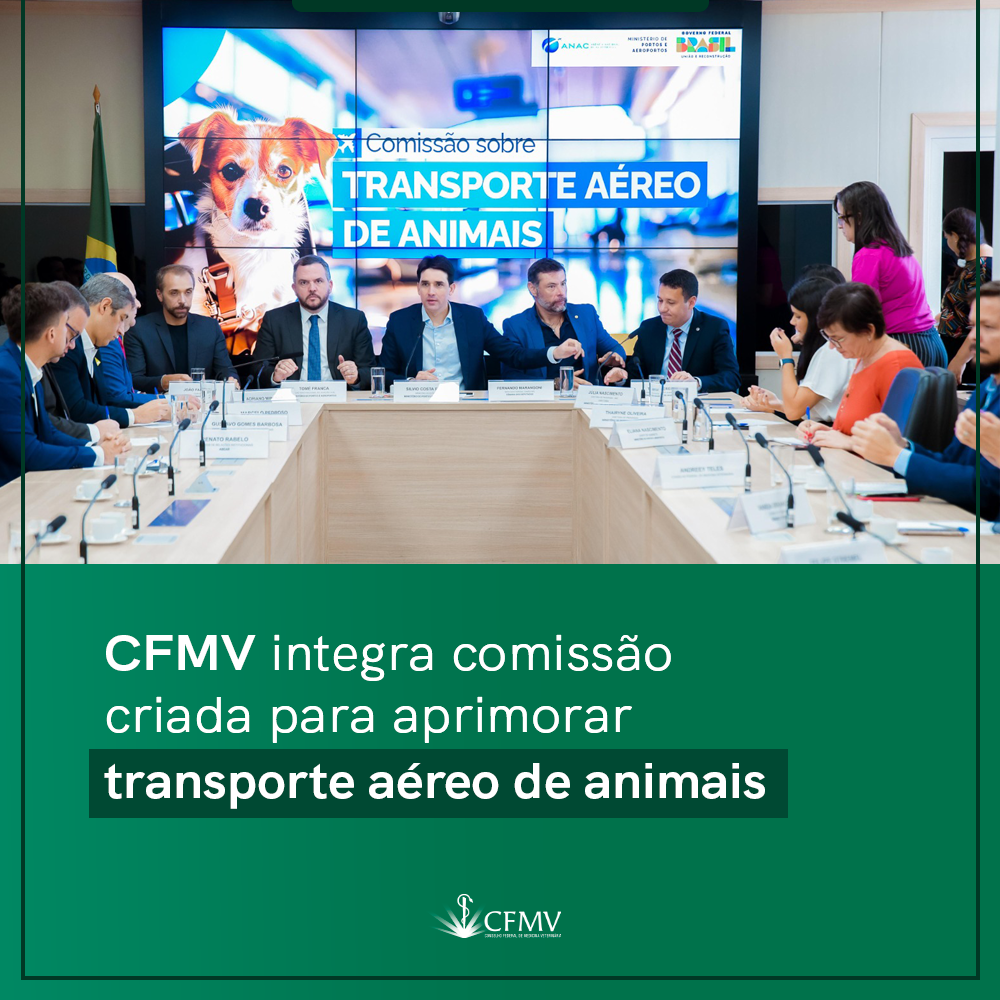 Comissão de transporte aéreo