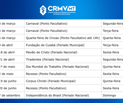 Fotos para site - medida correta (7)